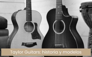 Guitarras Taylor Guitars: historia y modelos