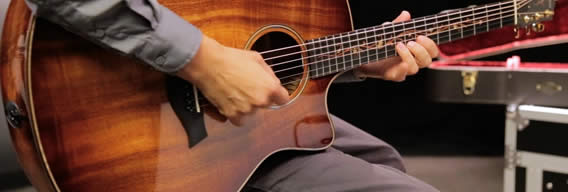 taylor guitars koa series